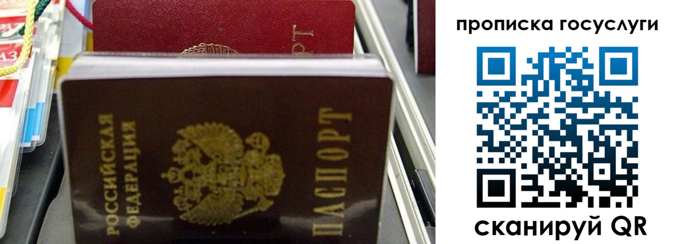 где прописаться в Зее